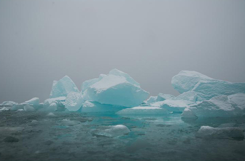 Ice floes in Svalbard
