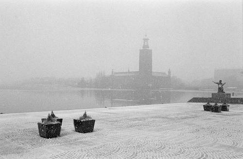 Открытка. Стокгольм. Туман