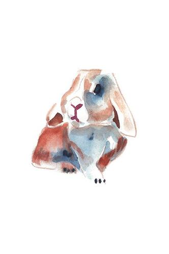 Портрет кролика | Арт-принты | Somodernart 