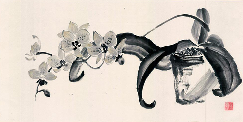 Орхидея в горшке | Арт-принты  | Somodernart 