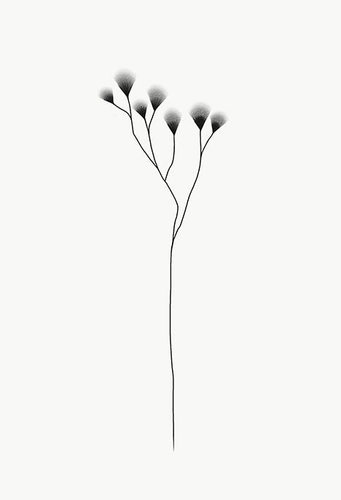 Альпийский цветок | Арт-принты  | Somodernart 
