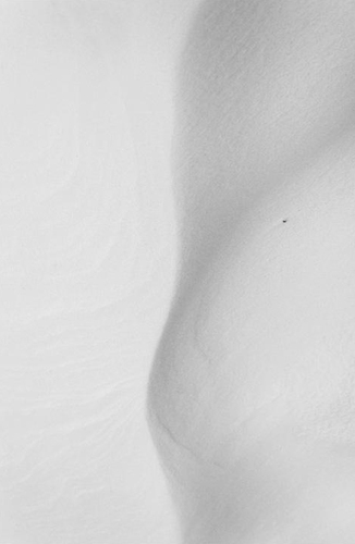 Lines on white II | Арт-принты  | Somodernart 
