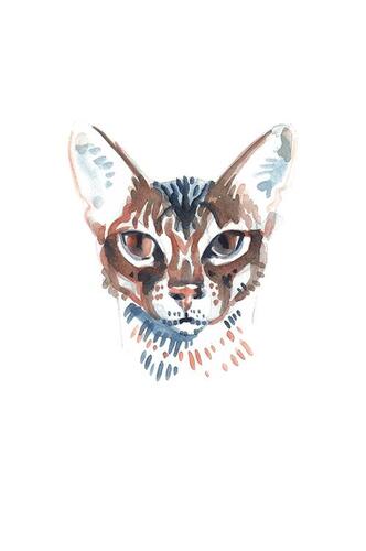 Портрет кота | Арт-принты | Somodernart 