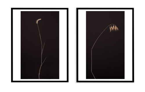 Комплект картин в раме: