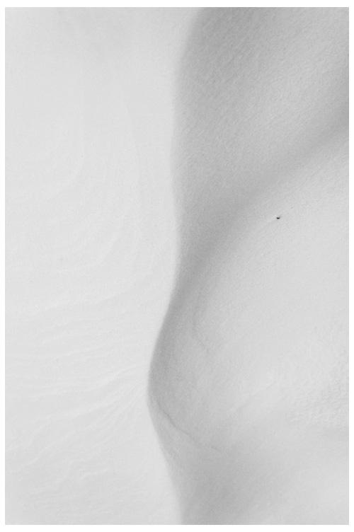 Lines on white II