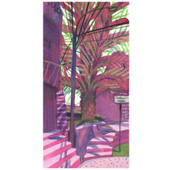 Чили. Кокимбо 40x60 Sale