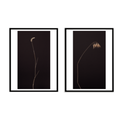 Комплект картин в раме: Травы II и Травы I