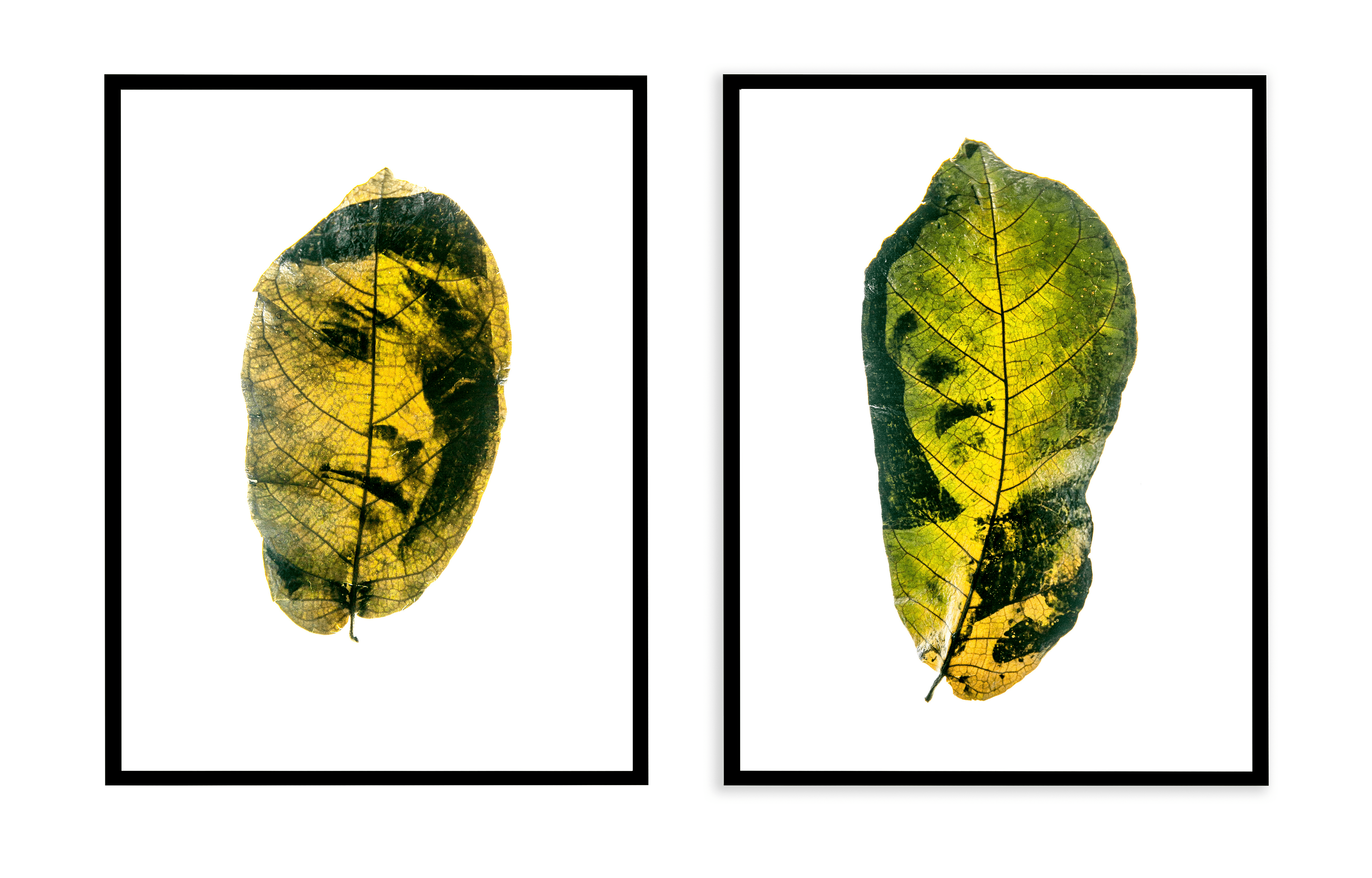 Комплект картин в раме: 