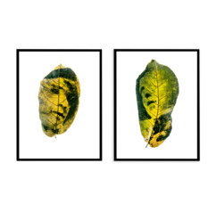 Комплект картин в раме: 